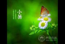 节气养生 | 小暑养生饮食有三宝 黄鳝莲藕绿豆芽