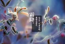 2018年立冬是哪一天?立冬怎么养生？
