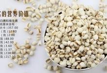 夏季会吃薏仁更养生，推荐几种健康吃法