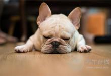 春困犯了？不妨补充维生素B6