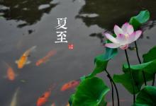 2018夏至时间_夏至是什么时候_吃什么养生_夏至习俗
