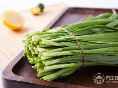 秋季时节可食用韭菜养生