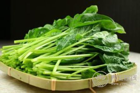 谷雨节气适合吃哪些食物?