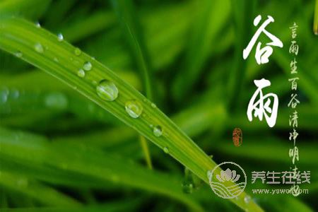 2019年谷雨是几月几号?