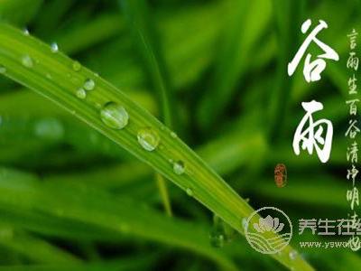 2019年谷雨是几月几号?