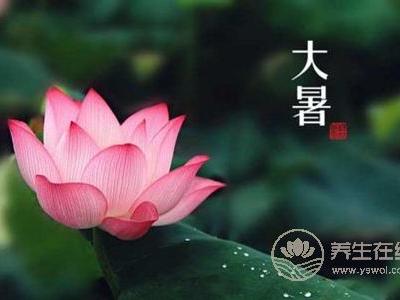 大暑吃阿胶好不好?
