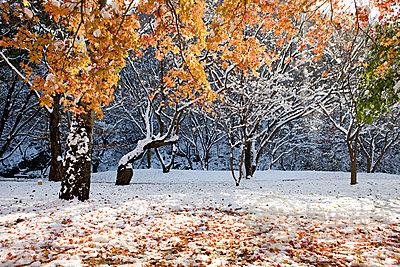 细数小雪节气养生药膳