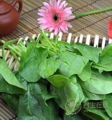 秋分节气养生必吃10种蔬菜 滋补润燥