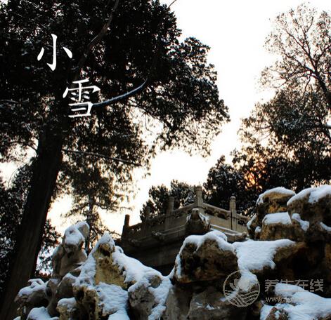 细数小雪节气养生药膳