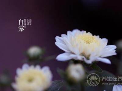 白露节气该如何对抗干燥