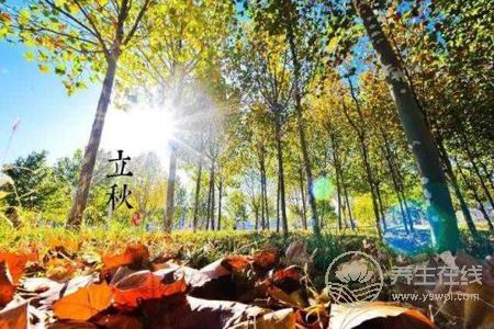 立秋由来是什么?立秋立秋养生食谱有哪些?