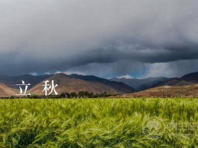 专家支招：立秋后要小心阴暑