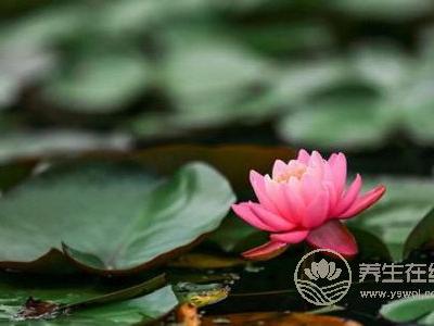 处暑节气的含义是什么?处暑是哪个季节?