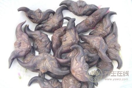 中秋节养生保健应该注意什么?中秋节饮食禁忌有哪些?