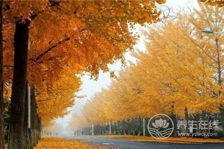 秋分是哪一天?秋分期间的天气气候特点是什么?
