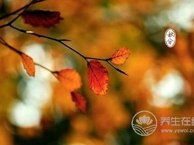 秋分是哪一天?秋分期间的天气气候特点是什么?