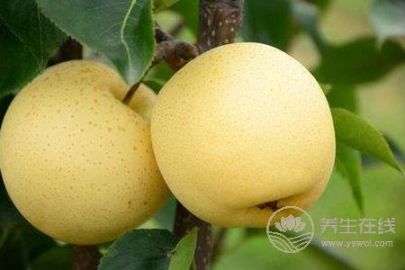 秋季感冒的原因有哪些?预防感冒的水果有哪些?