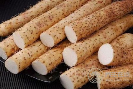 寒露种什么蔬菜?寒露节气有哪些饮食习俗?