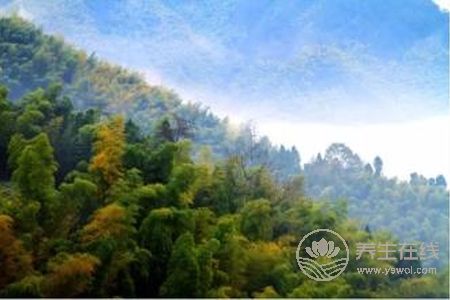 寒露节气预防哪些疾病?寒露节气预防疾病方法是什么?