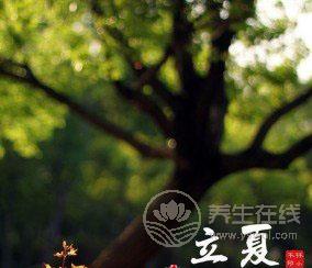立夏有哪些习俗 立夏吃了蛋热天不疰夏-易网<a href=http://www.bryss.cn/ target=_blank class=infotextkey>健康养生</a>网 立夏有哪些习俗 立夏吃了蛋热天不疰夏