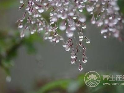春季养生喝什么汤 花旗参乌鸡汤补血