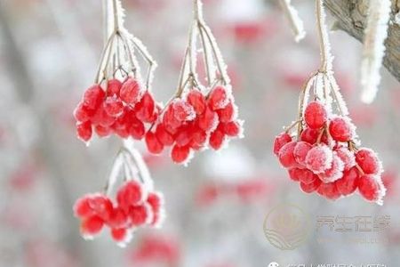 霜降要预防哪些疾病?霜降预防皮肤疾病方法是什么?
