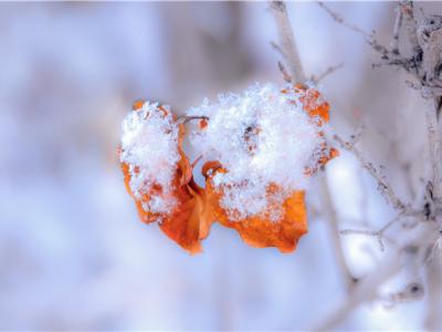 下雪天会被晒黑吗？下雪也要注意防晒