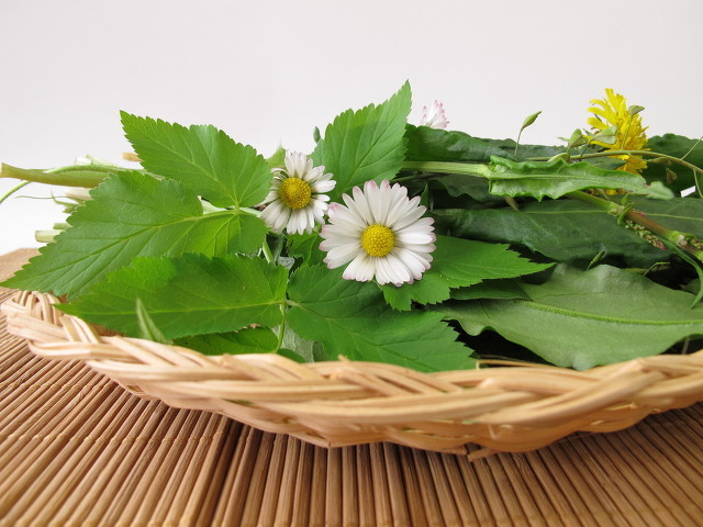 春季最值得吃的几种野菜，错过就只能再等一年