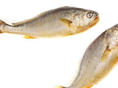 春季减肥吃什么好? 4种食物适合春季减肥时吃