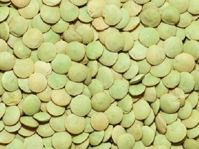 夏季食疗养生菜谱有哪些 推荐5个夏季的养生食谱