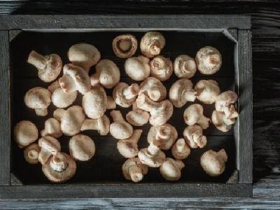 女人秋季进补吃什么好 女性秋季进补推荐4种食物