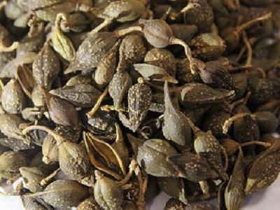 春季养生药膳都有哪些 玫瑰药膳是春季养生佳品