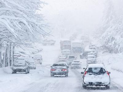 大雪驾到，养生吃这些