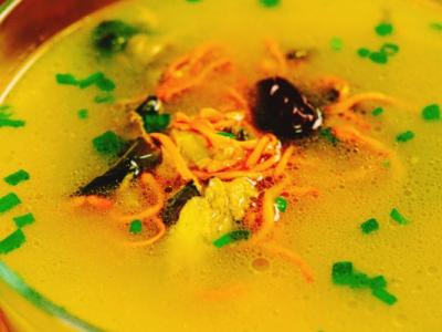 冬至养生吃什么食物好