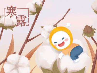 寒露是几月几号