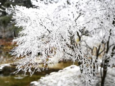 小雪的节气特点