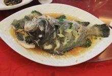 吃鱼不宜过量,小心伤害眼睛