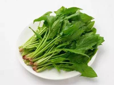 眼睛爱“吃”的十种食物