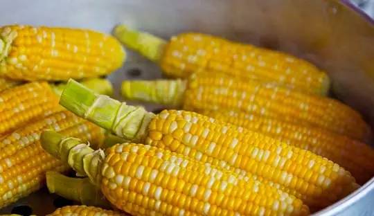 眼睛爱“吃”的十种食物