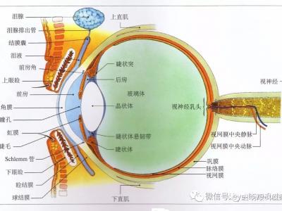 一步步发展成为高度近视的原因？您知道吗？