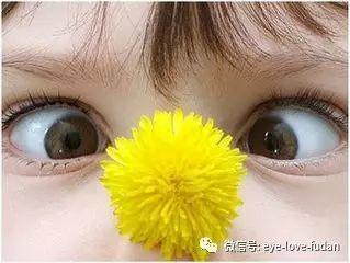 斜弱视严重影响眼健康，儿童治疗要趁早