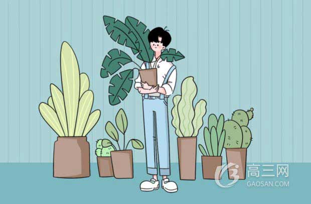 励志！视障双胞胎双双考取重点大学