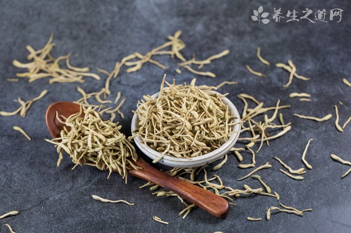 中药知母的作用