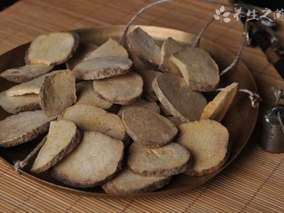 中药白茅根功效