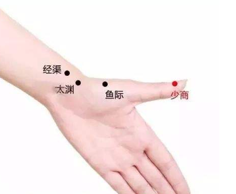少商穴的准确位置图 少商穴的功效与作用