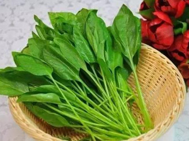 犯困多吃五种食物提醒醒脑
