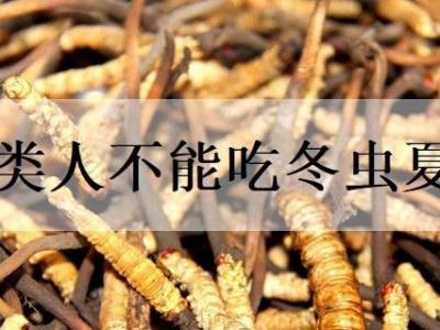 三类人不能吃冬虫夏草