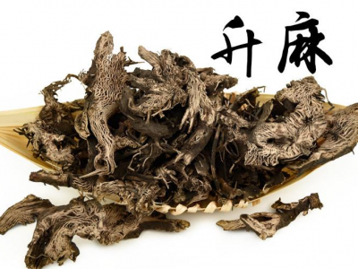 升麻的功效与作用及禁忌-用量