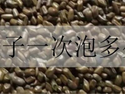 决明子一次泡多少粒