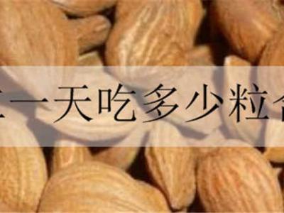 杏仁一天吃多少粒合适